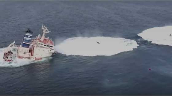 3 Filipinos confirmed dead from sunken cargo ship in Red Sea, DMW confirms