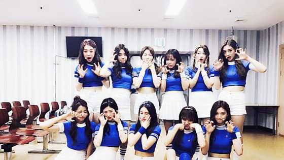 IOI members profile: names, positions, ages, ranking, who left