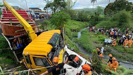 Massive road tragedy in Albay: Only two survive crash that killed 11 on UV express