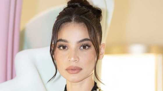 Anne Curtis, nanlumo sa sinabi ni Brice Hernandez sa SBRC hearing: "BAKIT PO?!"