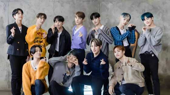 The Boyz profiles: members' names, ages, songs, debut, world tour