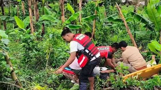 Detainee shot while attempting escape in Catanduanes, police investigation underway