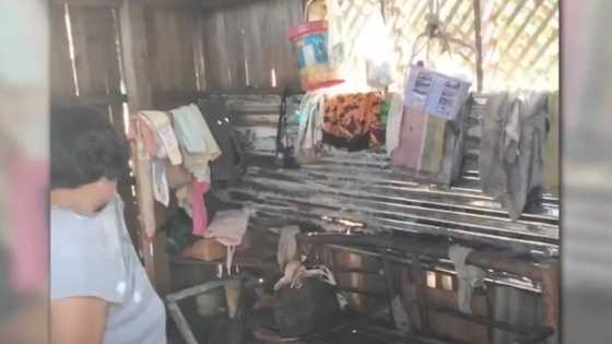 83-anyos na lola, natagpuan sa kanyang bahay na naaagnas at hiwalay na ang ulo