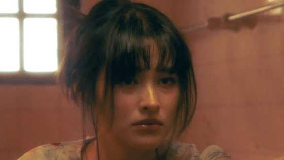 Cristy Fermin, sinabing nagbato ng kung anu-anong salita si Liza Soberano: “Anong nangyari, eh di sinuka mo”