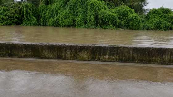3 sa 4 binatilyong inanod sa ilog sa Bulacan, natagpuang patay; isa patuloy na hinahanap
