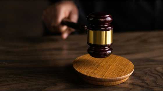 Security guard found guilty for killing a pup by throwing it off a bridge in QC
