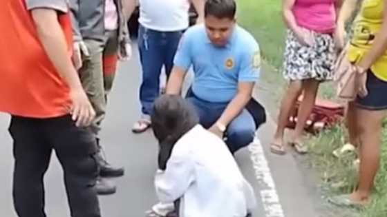 Woman found injured by roadside after alleged assault by stepfather in Laguna