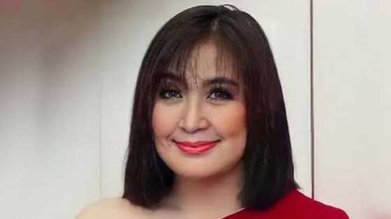 Sharon Cuneta, hiniling wag na siyang bigyan ng Christmas gift: "Please donate instead"