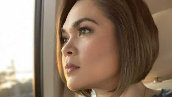 Judy Ann Santos: The life story of the legendary actress