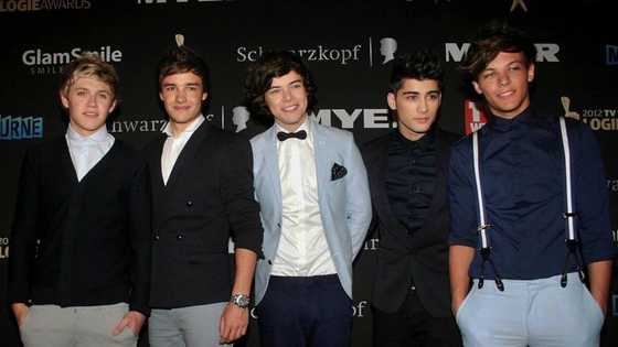 One Direction members: where their lives have taken them since the band