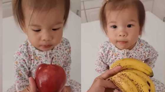 Video of baby Dahlia naming fruits shown to her gains netizens' praises