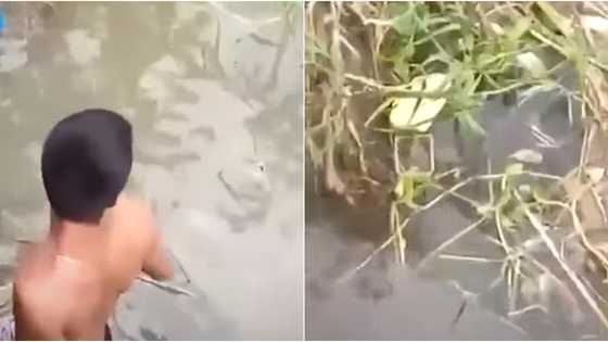 Lifeless newborn boy seen floating together with assorted trash in a creek