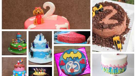 Cartoon cake design: 75 original ideas (photos)