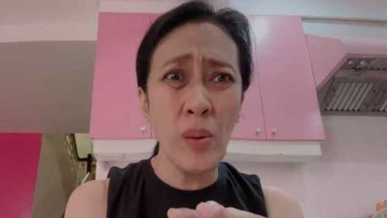 Ai-Ai delas Alas warns netizens in viral video; says her old video was misused