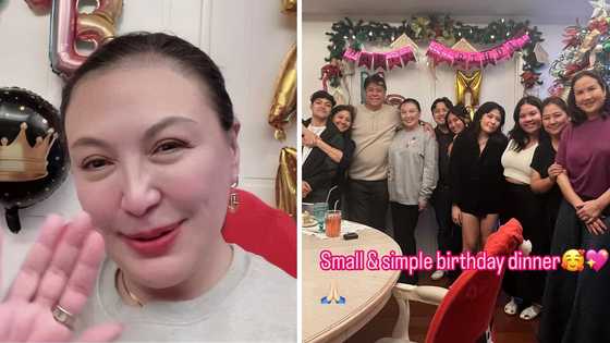 Sharon Cuneta, ipinasilip ang birthday celebration niya