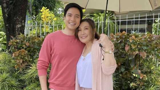 Sharon Cuneta's new photo with Alden Richards gains praises from netizens