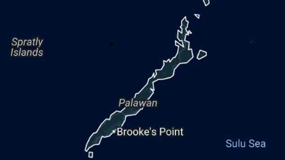 Missing 10-year-old girl found dead; suspect who last saw her alive now in police custody