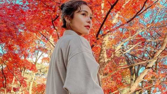 Miho Nishida, ibinahaging nagtatrabaho siya sa salon sa Japan