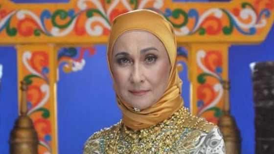 Cherie Gil announces leaving teleserye midway; expresses sentiments in lengthy FB post