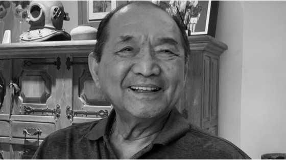 Former executive secretary, Aduardo Ermita, passes away at 90