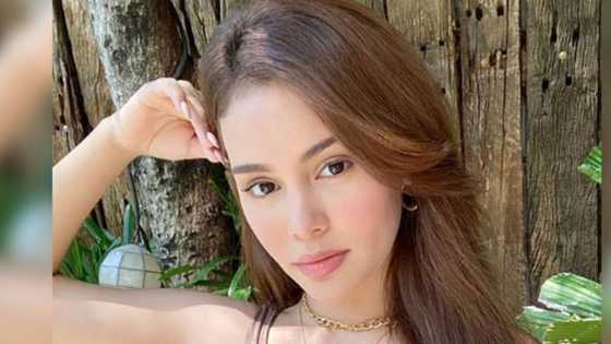 Ivana Alawi rejects rich admirer who flaunted his private jet and invited her to dine in Japan