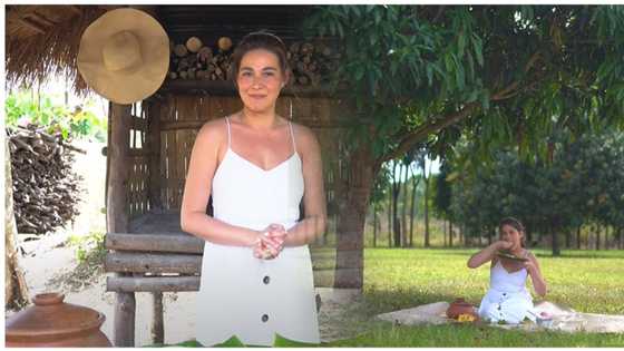 Bea Alonzo, pinabilib ang mga netizens sa kanyang husay sa pagluto