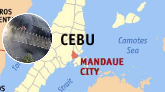 Fur mom risks her life to save her pets in a terrifying Cebu fire incident