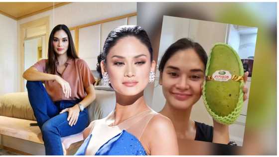 Pia Wurtzbach, kinaaliwan sa kanyang kwelang selfie katabi ang isang malaking mangga