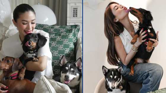 Heart Evangelista, itinuturing na parang sariling anak ang mga inampon na stray animals