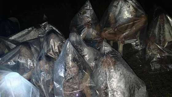 Cebu quake survivors, natutulog na lang sa plastic bags para makaiwas sa ulan