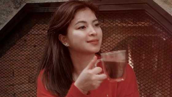 Angel Locsin, dinepensahan ang stepson na si Joaquin laban sa 'nepo baby' tag