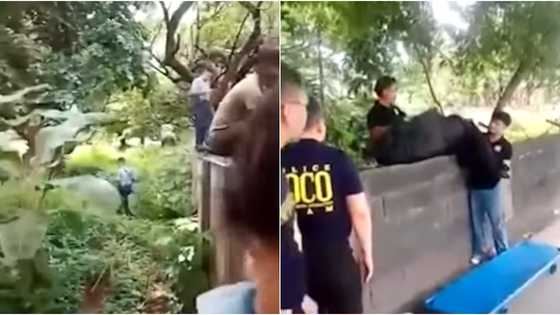 Bangkay ng babae na naaagnas na ang mukha, natagpuan sa isang bakanteng lote