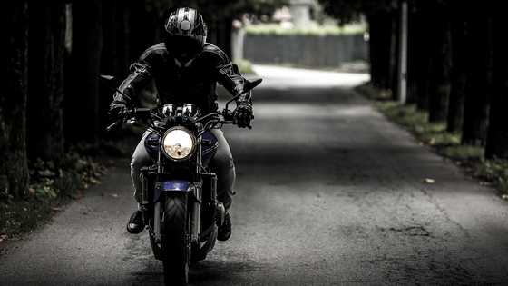 Motorcycle rider killed after falling tree branch strikes him in Pangasinan