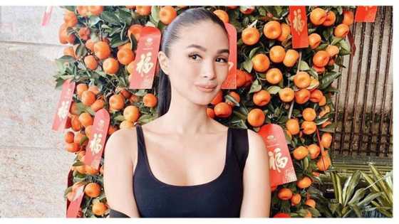 Heart Evangelista, nakakalula pala presyo ng paintings niya - umaabot sa P3 million ang isa