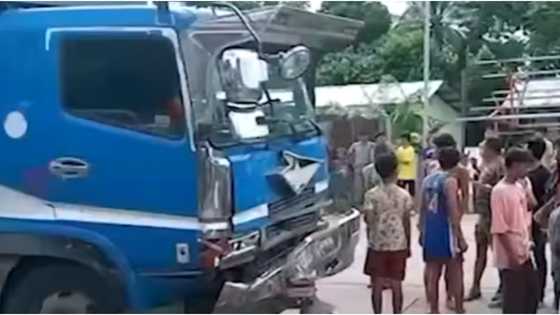Minivan na nakatulog umano ang driver, bumangga sa isang truck; 2 senior citizen, patay