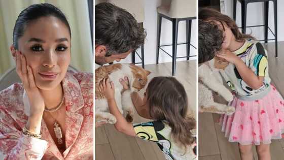 Heart Evangelista, sobrang saya dahil nakauwi na ang nawawalang pusa nina Solenn Heussaff, Nico Bolzico