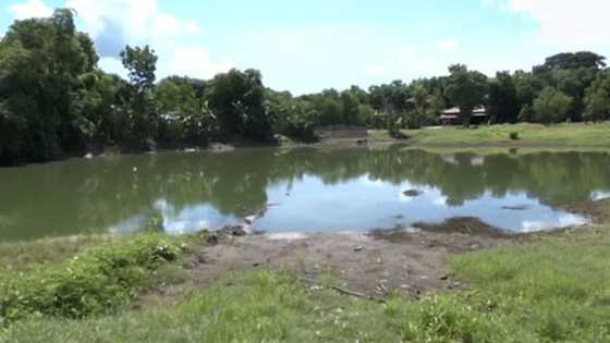 Mga batang nangunguha ng kuhol para pang-ulam, nalunod sa palaisdaan