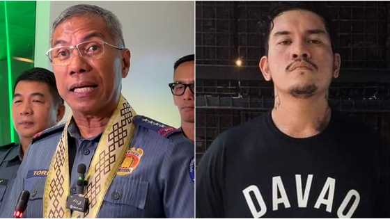 PNP Chief Torres sa hamon ni acting Davao Mayor Baste Duterte: "12 rounds ng suntukan para maganda"