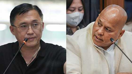 Senator Bato, Senator Bong Go, at anim pang opisyal, kabilang sa 'common plan' ng drug war, ani ICC