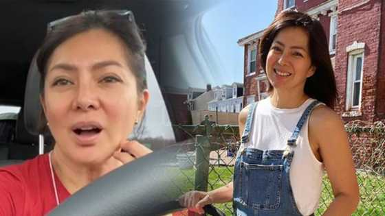 Alice Dixson answers netizen asking her to stop traveling amid the pandemic