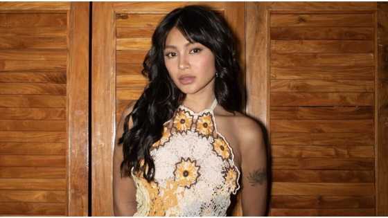 Nadine Lustre claps back at netizen who criticized her flood control projects interview