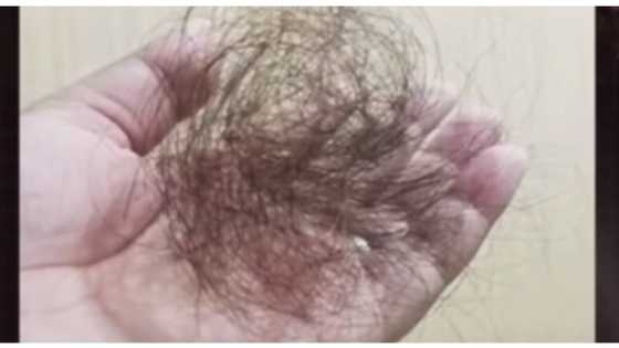 Hairdresser, kakasuhan ng customer nalagasan ng buhok dahil sa rebond