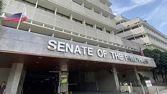 Internal investigation into senate staffer's drug use completed; turned over to ethics chair