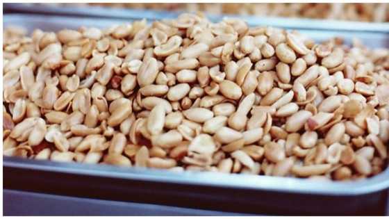 Lalaking 'di nakatiis at hiningi ang kinakain ng kapwa niya pasahero, kinagiliwan ng netizens