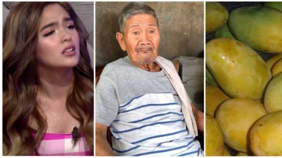 Andrea Brillantes, nag-react sa nangyari kay Lolo Narding: "Grabe naman"