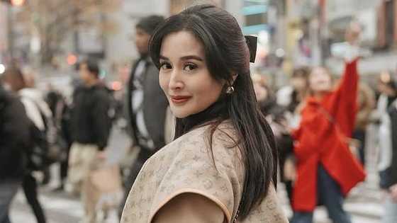 Kris Bernal, ibinida ang kanilang naggagandahang family photos sa Japan