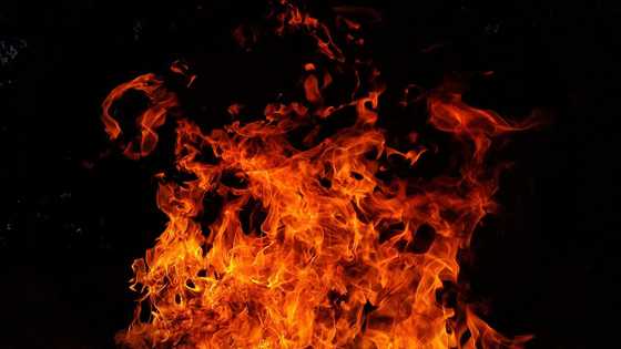 Man arrested for dousing two tourists with paint thinner and setting them on fire