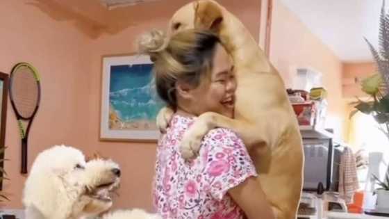 Alora Sasam recreates Angelica Panganiban, Gregg Homan's video with Amila Sabine