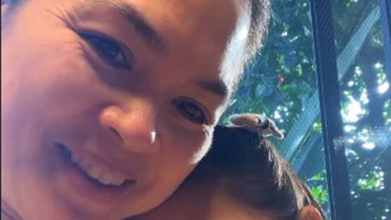 Judy Ann Santos, ibinida ang first day of school ni Luna: "Homemade heart-chicken bites"