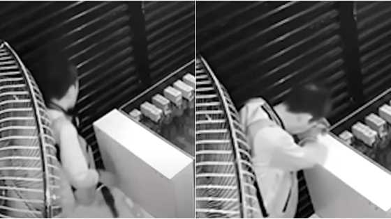 Senior citizen caught on CCTV robbing vape shop, arrested before he could escape